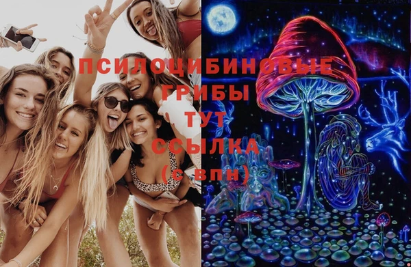 меф Арсеньев