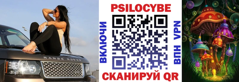 Купить закладки  Беломорск  Псилоцибиновые грибы Psilocybine cubensis 